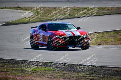 media/Feb-18-2024-Extreme Speed (Sun) [[27751ef890]]/Green Group/